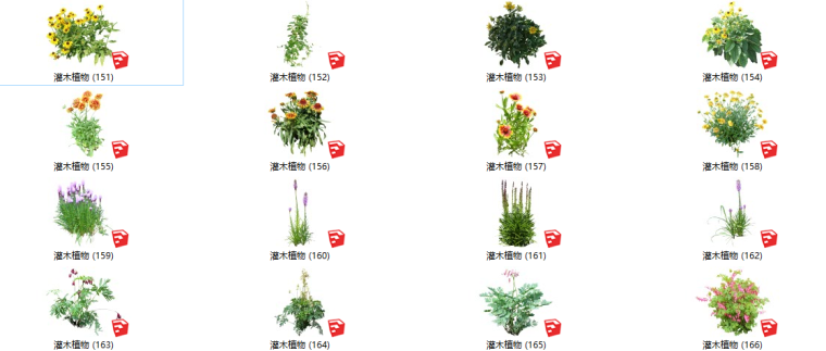 灌木绿化su模型资料下载-450个花卉灌木植物su模型A（151-200）