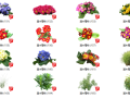 500套花卉灌木植物su模型 B（151-200）