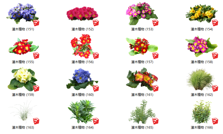 灌木绿化su模型资料下载-500套花卉灌木植物su模型 B（151-200）