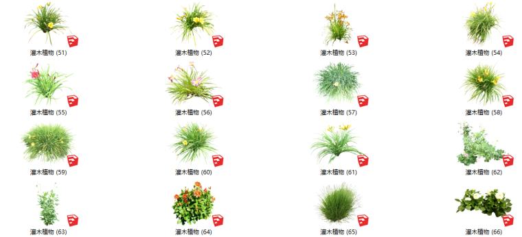 灌木植物cad资料下载-500套花卉灌木植物su模型 B（51-100）