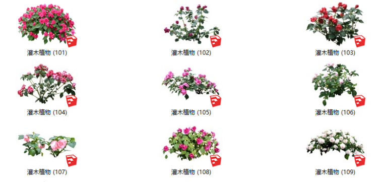 灌木绿化su模型资料下载-500套花卉灌木植物su模型 B（101-150）