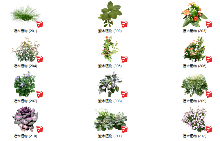 灌木绿化su模型资料下载-500套花卉灌木植物su模型 B（201-250）