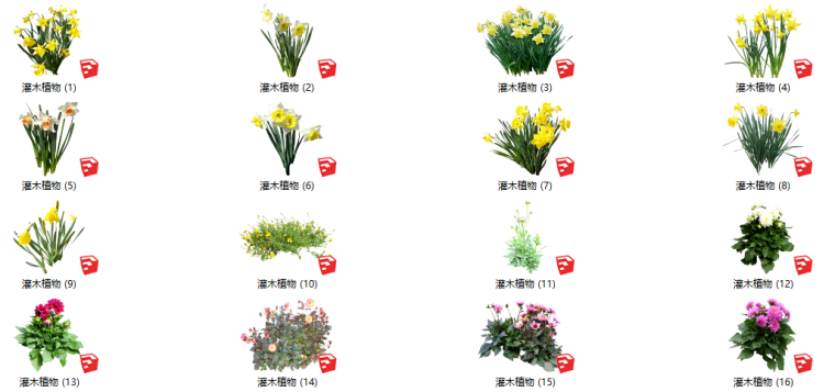 灌木绿化su模型资料下载-500套花卉灌木植物su模型 B（1-50）