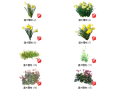 500套花卉灌木植物su模型 B（1-50）