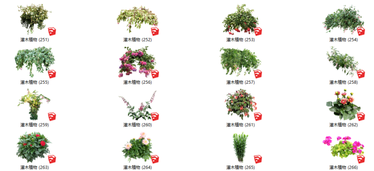 灌木绿化su模型资料下载-500套花卉灌木植物su模型 B（251-300）