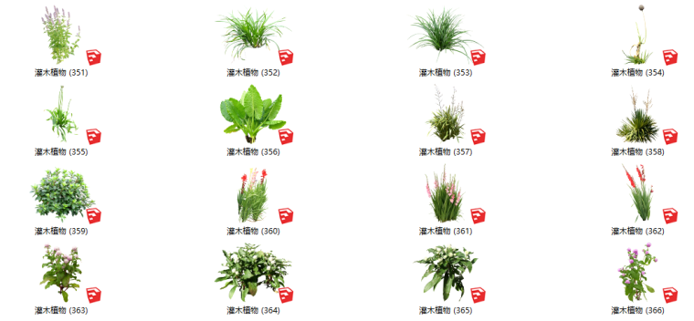 灌木绿化su模型资料下载-500套花卉灌木植物su模型 B（351-400）