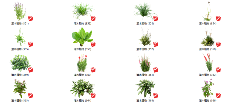 灌木植物su模型资料下载-500套花卉灌木植物su模型 B（351-400）