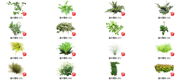 灌木植物cad资料下载-500套花卉灌木植物组件全集C（51-100）