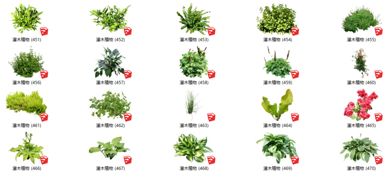 灌木绿化su模型资料下载-500套花卉灌木植物su模型 B（451-500）