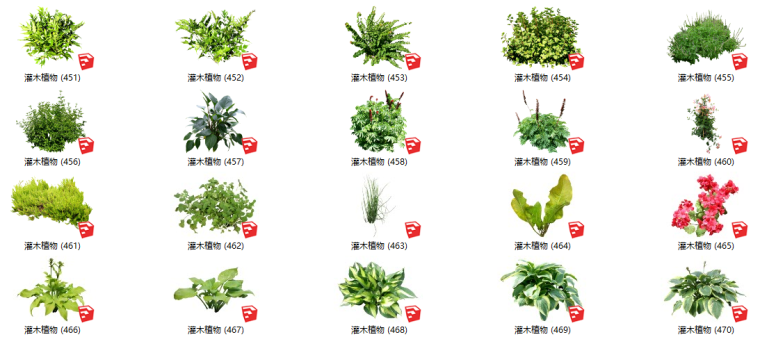 灌木植物su模型资料下载-500套花卉灌木植物su模型 B（451-500）