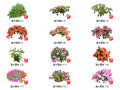 500套花卉灌木植物组件全集C（1-50）