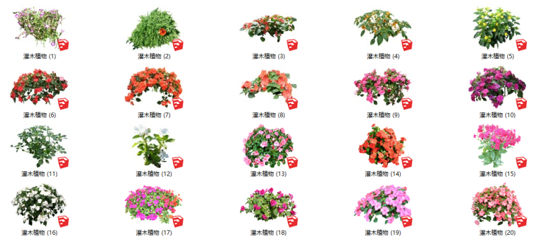 灌木植物su模型资料下载-500套花卉灌木植物组件全集C（1-50）