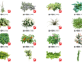 500套花卉灌木植物组件全集C（101-150）
