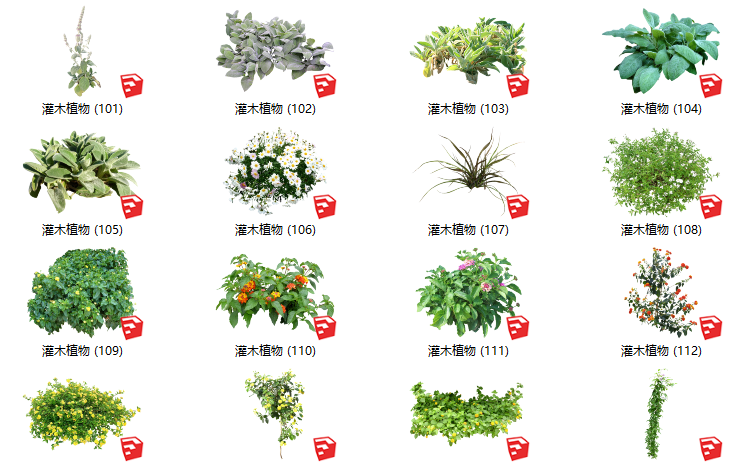 灌木植物cad资料下载-500套花卉灌木植物组件全集C（101-150）