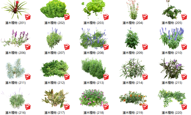 灌木植物cad资料下载-500套花卉灌木植物组件全集C（201-250）