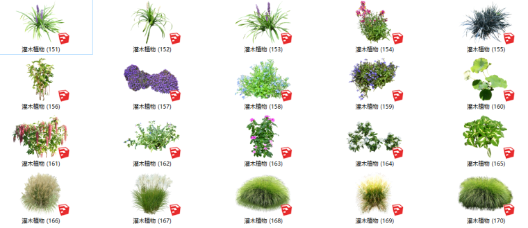 灌木植物cad资料下载-500套花卉灌木植物组件全集C（151-200）
