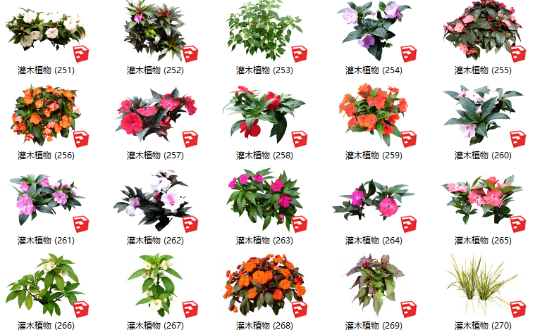 灌木植物cad资料下载-500套花卉灌木植物组件全集C（251-300）