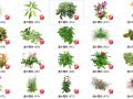 500套花卉灌木植物组件全集C（401-450）