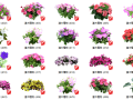 500套花卉灌木植物组件全集C（351-400）