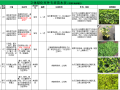 华中地区立体绿化垂直绿化植物苗木表