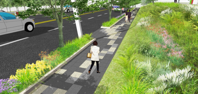 市政绿化植物设计资料下载-[江苏]南京生态科技岛市政景观设计方案文本