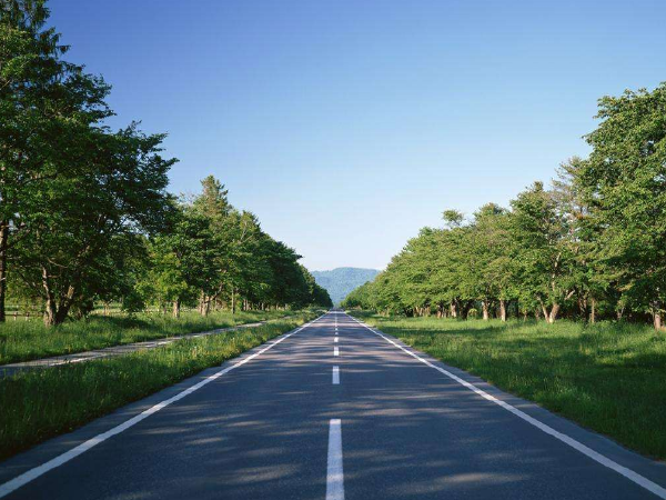 滨海地区道路设计说明资料下载-[四川]三条道路加六座桥梁施工组织设计