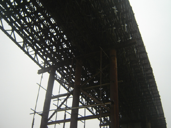 现浇梁贝雷桥施工方案资料下载-20m以上现浇箱梁支架施工方案专家评审汇报