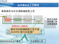 小型分散式农村污水处理的理论与实践