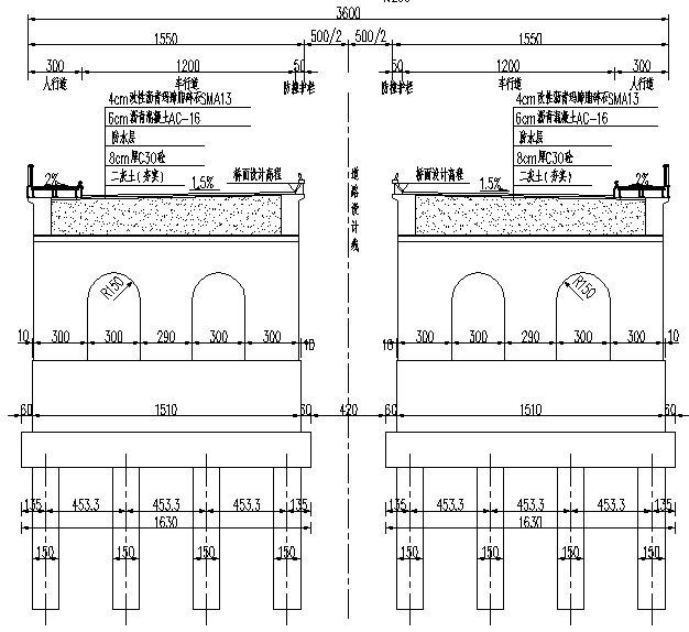 城市道路主干路网跨河流拱桥施工图_2