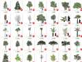 56组景观SU三维低模树模型素材设计