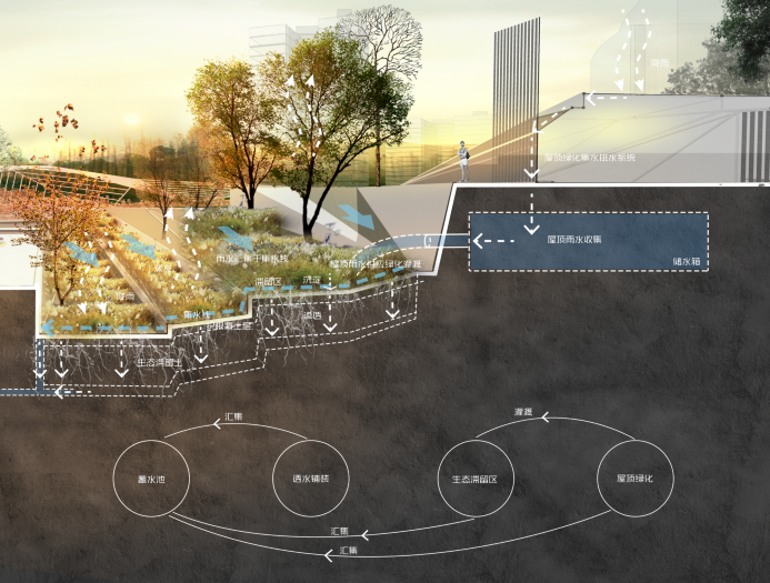 生态雨洪技术利用分析效果图psd