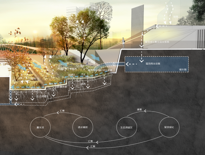 生态雨洪技术利用分析效果图PSD_2
