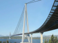 桥梁设计midas刚性连接与弹性连接的问题