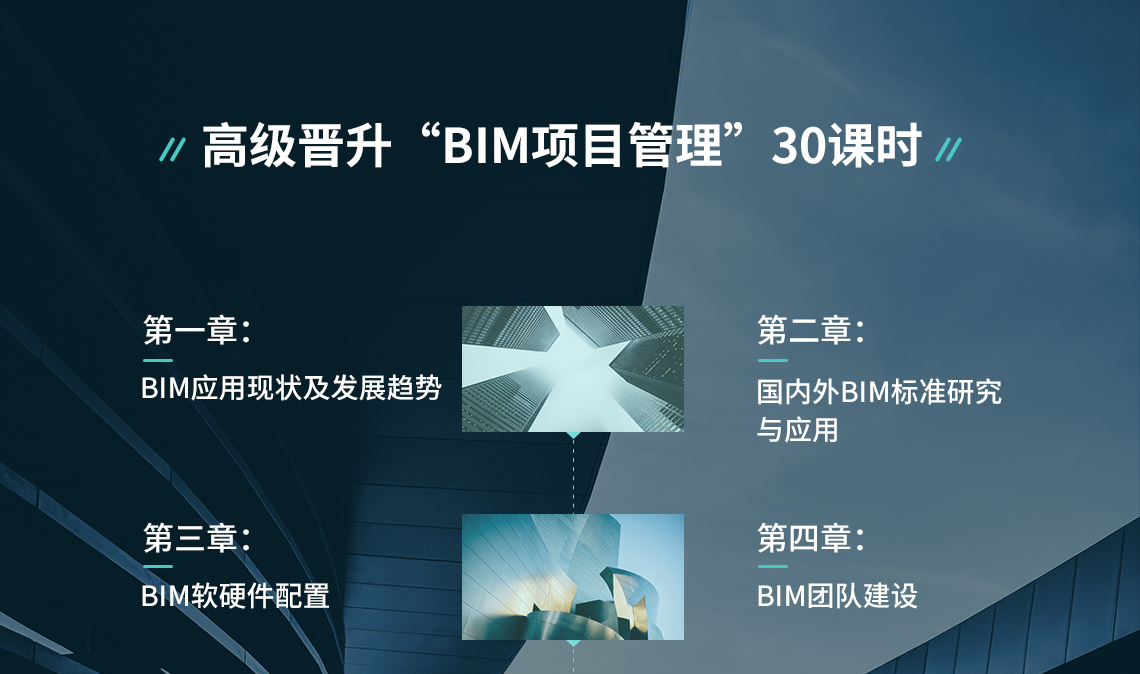 BIM项目管理高级晋升，BIM团队组建，国内外BIM标准应用
