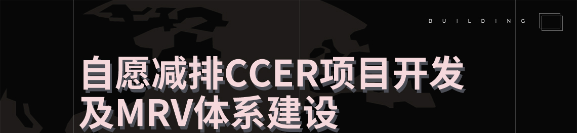 主要讲授国内自愿减排CCER项目发展历程、开发流程、方法学简介及项目案例围绕“双碳”目标，详细讲解了国内自愿减排项目开发流程、方法学及开发案例，MRV体系建设、国际国内碳市场发展现状，对于国内从事“双碳”事业的工作人员，有借鉴意义。