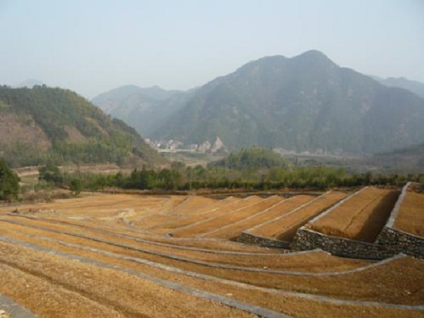 土地开发造地资料资料下载-土地开发整理标准（全）