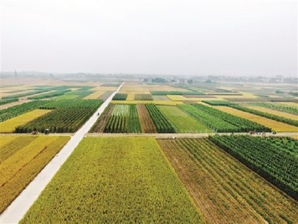 土地整治管理资料下载-假县今明寺镇治沟造地土地整治项目可行性研究估算书