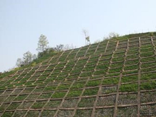 地质灾害防治竣工资料资料下载-泥石流地质灾害防治理论及技术