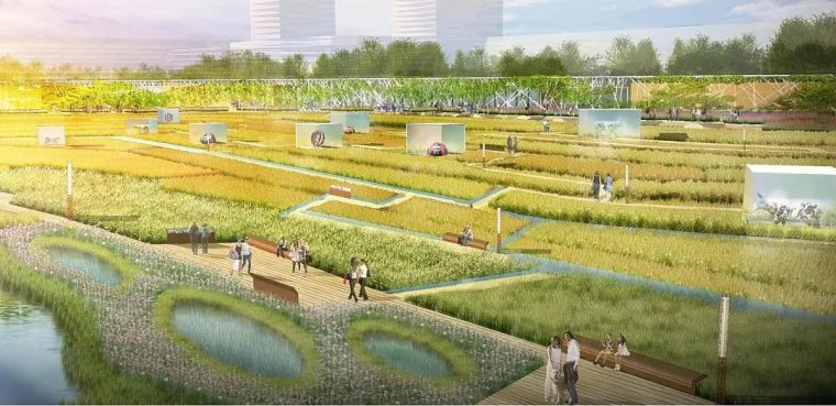 复合型海绵城市理念打造城市生态绿环-某市光明绿环规划设计_3