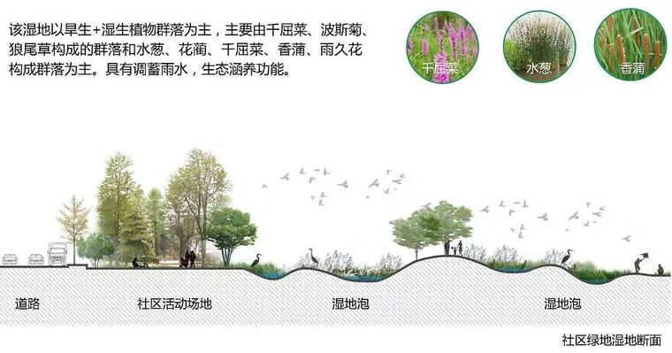 复合型海绵城市理念打造城市生态绿环-某市光明绿环规划设计_22