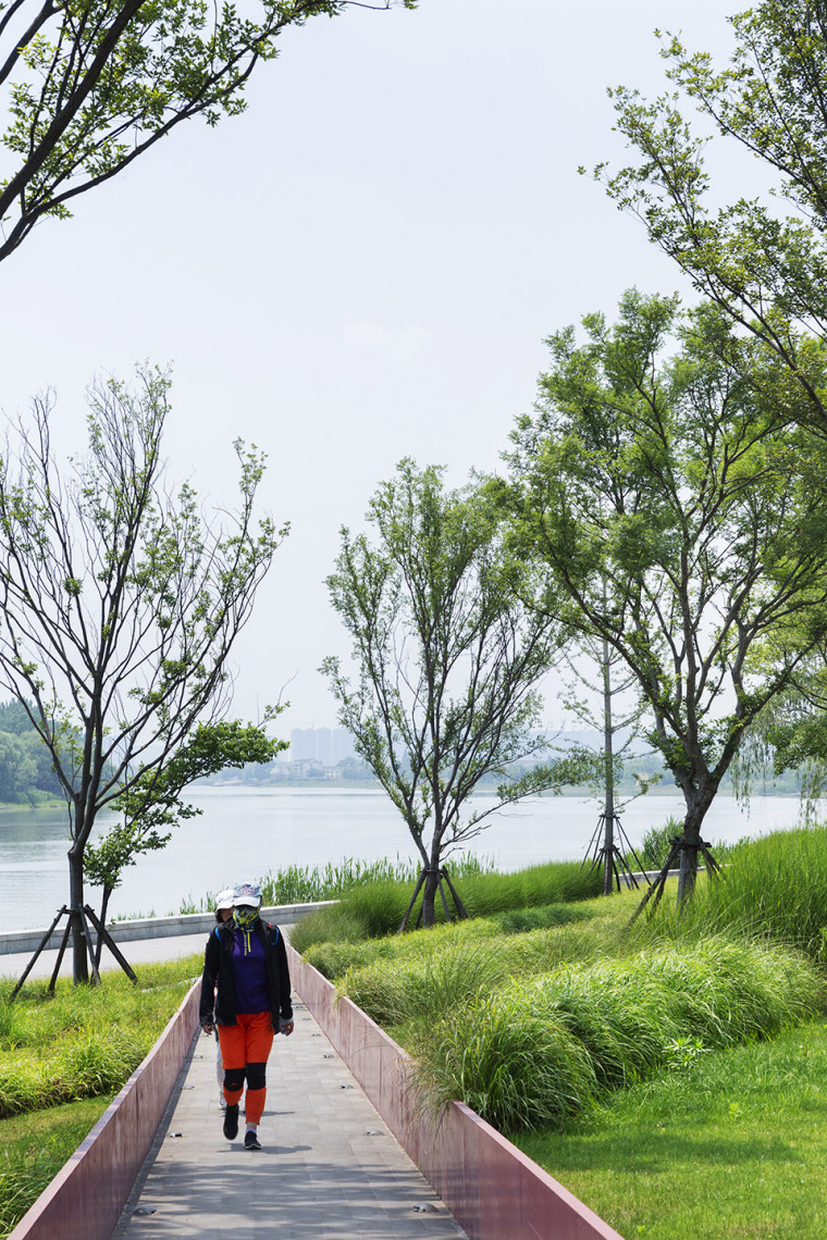 南京江岛新天地滨江商业生态公园-014-riverside-commercial-eco-park-china-by-collective-landscape-design-1