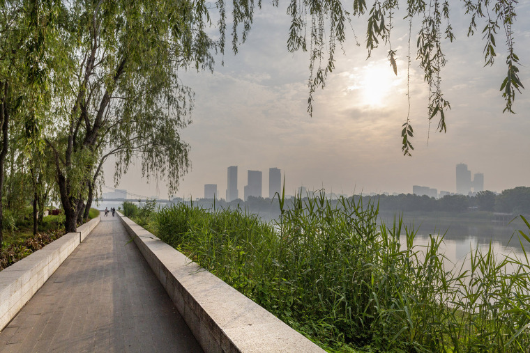 南京江岛新天地滨江商业生态公园-015-riverside-commercial-eco-park-china-by-collective-landscape-design