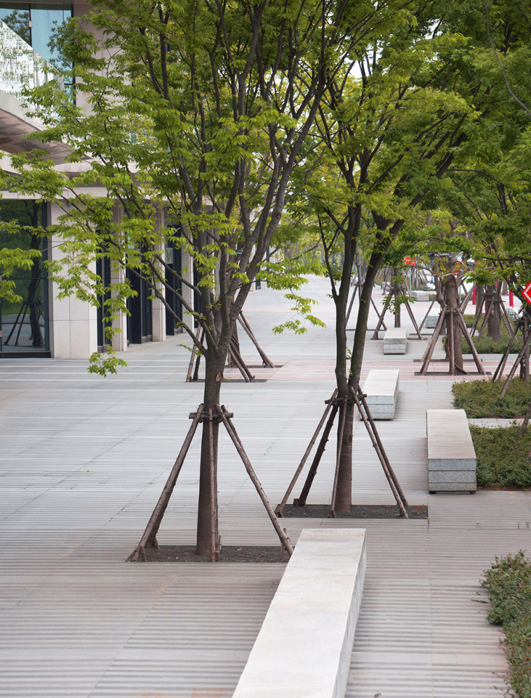 南京江岛新天地滨江商业生态公园-025-riverside-commercial-eco-park-china-by-collective-landscape-design