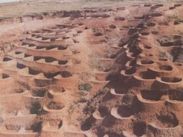 福建省土地平整资料下载-土地开发整理规划设计之农田防护和水土保持工程