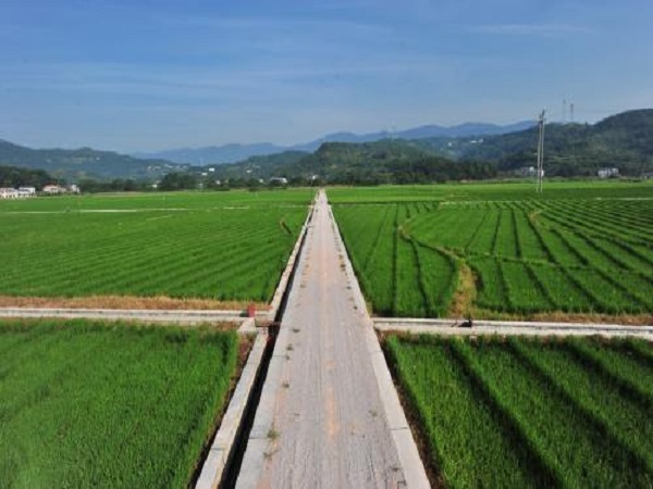 宿舍楼规划设计说明资料下载-土地开发整理规划设计之预算