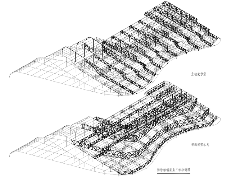 绿色建筑|游泳馆大空间钢桁架结构全套图-游泳馆钢屋盖三维轴测图