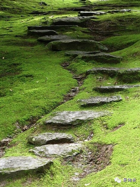 静谧的禅宗寺院_23