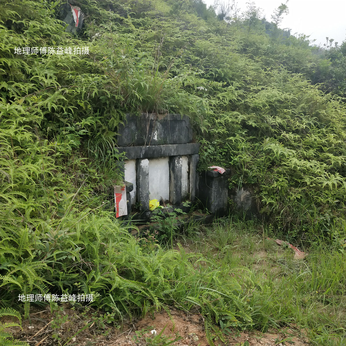 陈益峰:黄蛇赶哈形,曾家祖坟-建筑风水学-筑龙建筑设计论坛