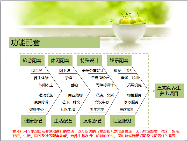 [五龙沟]养生养老项目开发方案-功能配套