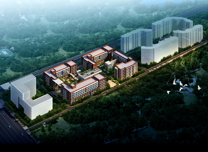 房地产项目后期策划方案资料下载-[武汉]养老院项目策划方案
